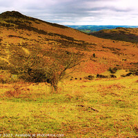 Buy canvas prints of Dartmoor Landscape by Stephen Hamer