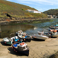 Buy canvas prints of Beached Boscastle Boats by Stephen Hamer