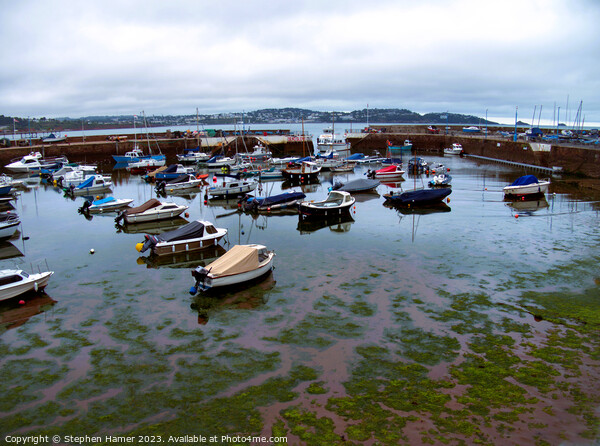 Incoming Tide Paignton Harbour Picture Board by Stephen Hamer