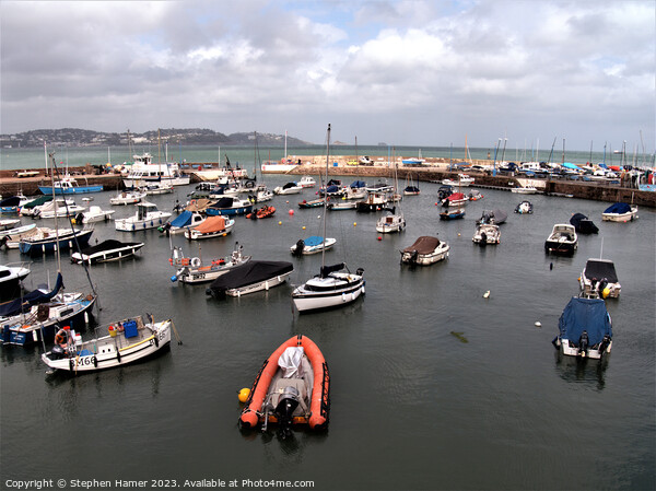 View Over the Harbour Picture Board by Stephen Hamer
