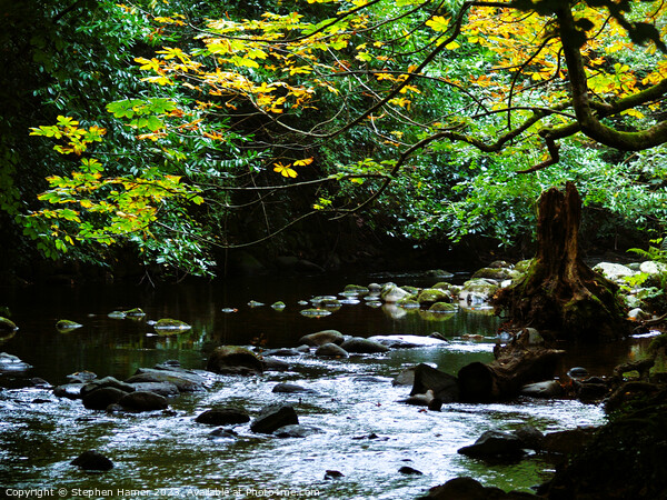 Autumnal River Scene Picture Board by Stephen Hamer