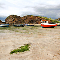 Buy canvas prints of Beach Moorings Hope Cove by Stephen Hamer