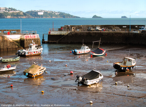 Tides Out Paignton Harbour Picture Board by Stephen Hamer