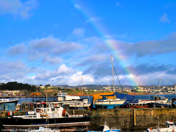 Rainbow over the Bay Picture Board by Stephen Hamer