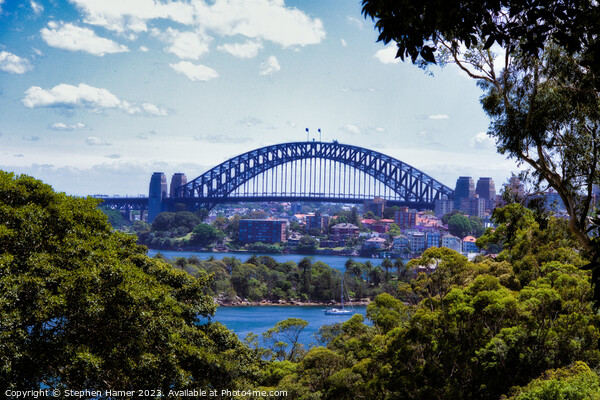 Sydney Harbour Bridge Picture Board by Stephen Hamer
