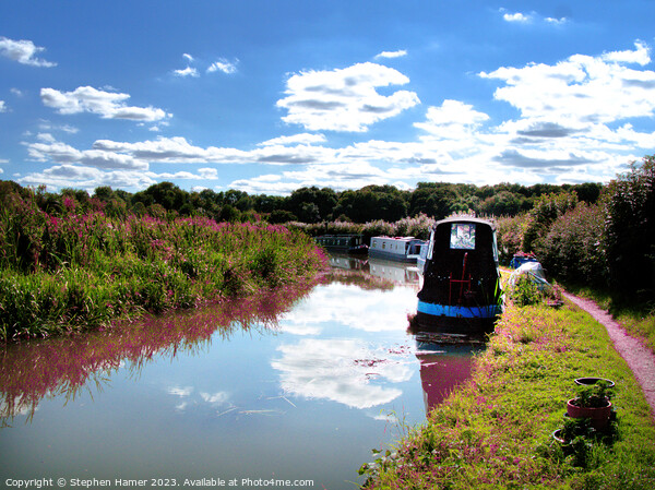 Oxfordshire House Boats Picture Board by Stephen Hamer