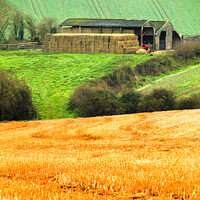 Buy canvas prints of On the Farm by Stephen Hamer