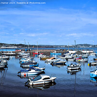 Buy canvas prints of Majestic Paignton Harbour by Stephen Hamer