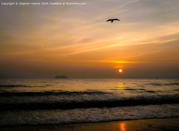 Sunrise and Seagull Silhouette Picture Board by Stephen Hamer