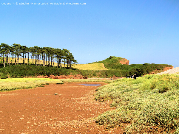 Budleigh Salterton Picture Board by Stephen Hamer