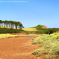 Buy canvas prints of Budleigh Salterton by Stephen Hamer