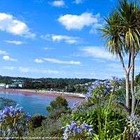 Buy canvas prints of The English Riviera by Stephen Hamer