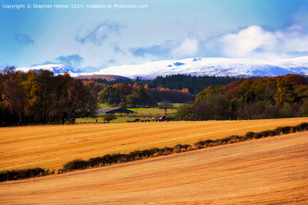 Autumn Perthshire Picture Board by Stephen Hamer