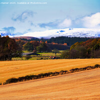 Buy canvas prints of Autumn Perthshire by Stephen Hamer