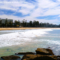 Buy canvas prints of Manly Beach by Stephen Hamer