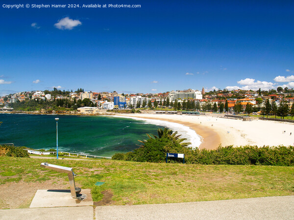 Coogee Beach Picture Board by Stephen Hamer