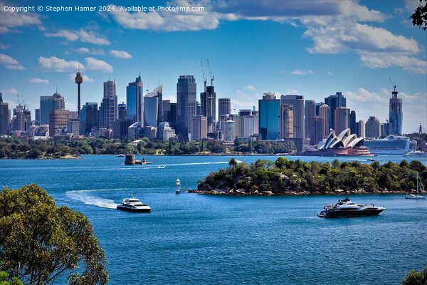Sydney Skyline Picture Board by Stephen Hamer