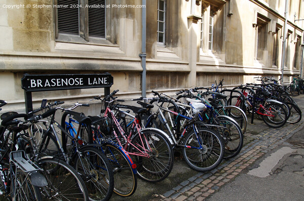 Oxford Bikes Picture Board by Stephen Hamer