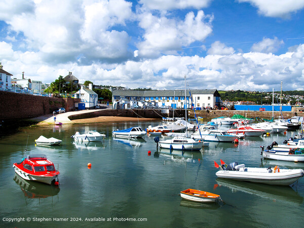 Paignton Harbour  Picture Board by Stephen Hamer
