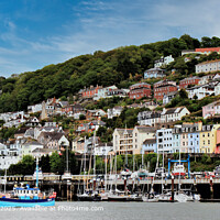 Kingswear River Dart Landscape