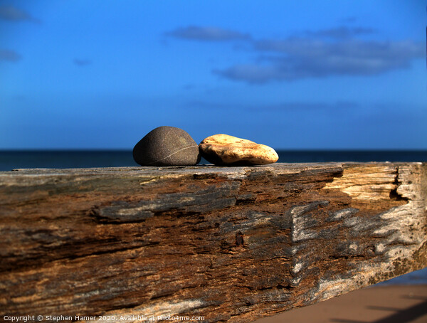 A Tale of Two Pebbles Picture Board by Stephen Hamer