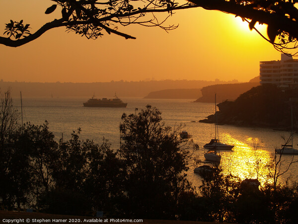 Dramatic Sunset Over Little Manly Cove Picture Board by Stephen Hamer