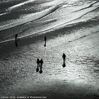 Buy canvas prints of Serene Surfing Scene by Stephen Hamer