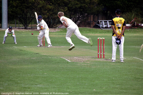 Flight of the Fast Bowler Picture Board by Stephen Hamer