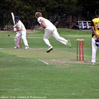 Buy canvas prints of Flight of the Fast Bowler by Stephen Hamer
