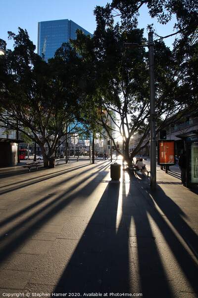 Shadows in Sydney Picture Board by Stephen Hamer