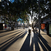 Buy canvas prints of Shadows in Sydney by Stephen Hamer