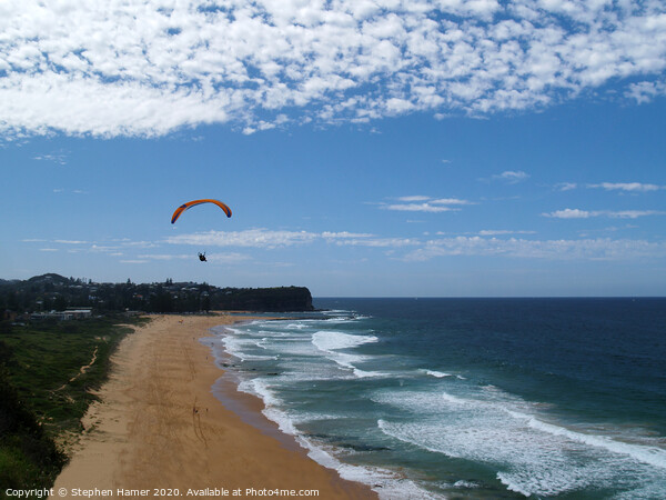 Hang Glider over Mona Vale Beach Picture Board by Stephen Hamer