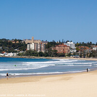 Buy canvas prints of Manly Beach by Stephen Hamer