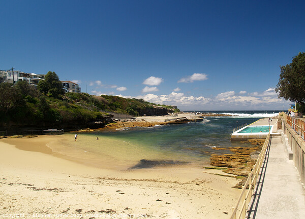 Clovelly Beach Sydney Picture Board by Stephen Hamer