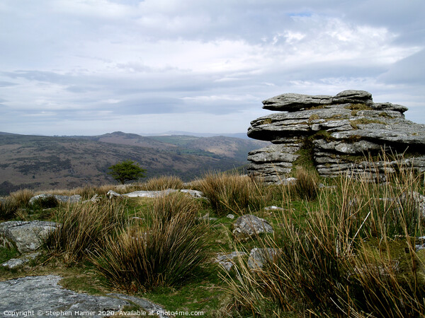 Combestone Tor Picture Board by Stephen Hamer