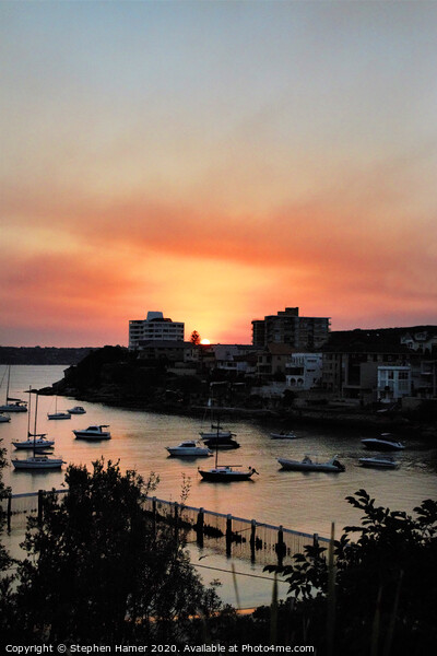Little Manly Sunset Picture Board by Stephen Hamer
