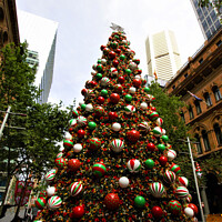 Buy canvas prints of Christmas Tree Sydney by Stephen Hamer