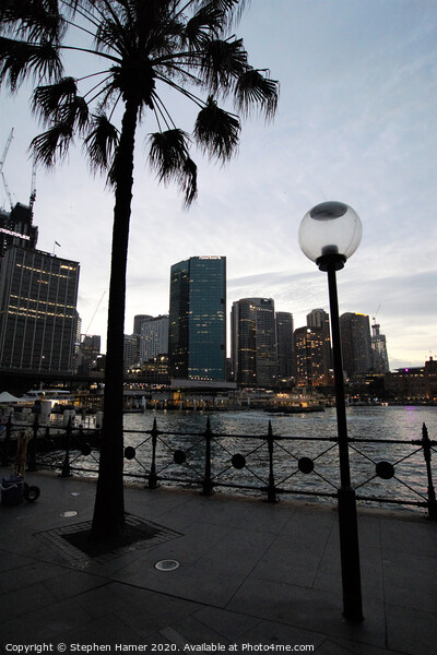 Circular Quay at Dusk Picture Board by Stephen Hamer