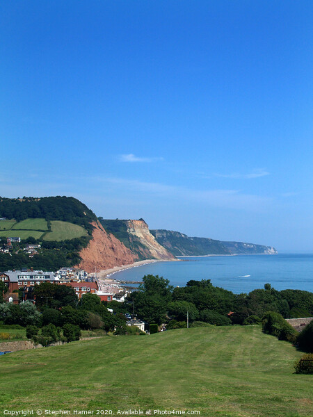 Sidmouth Picture Board by Stephen Hamer