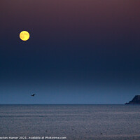 Buy canvas prints of Full Moon and Berry Head by Stephen Hamer
