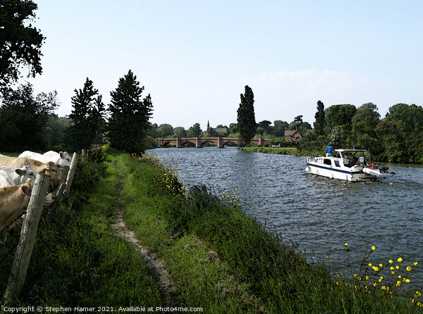 Thames Cruising Picture Board by Stephen Hamer