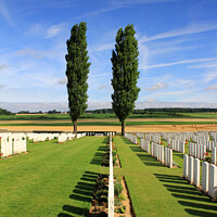 Buy canvas prints of Somme War Graves by Stephen Hamer