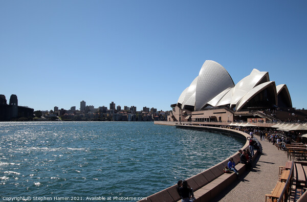 Sydney Opera House Picture Board by Stephen Hamer