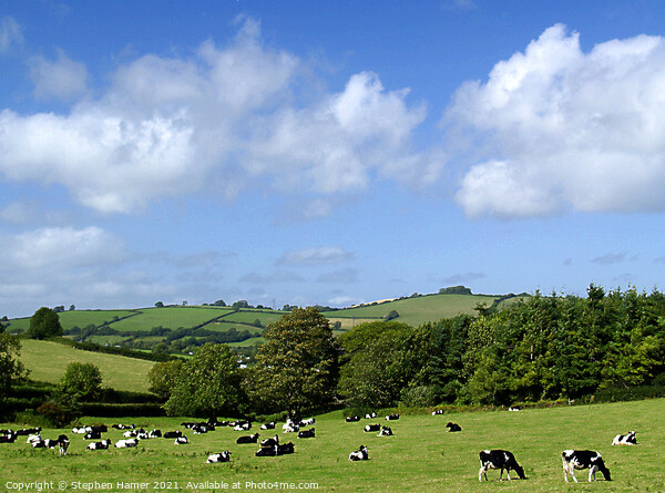 Rural Devon Picture Board by Stephen Hamer