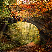 Buy canvas prints of Autumn Woodland Walk by Stephen Hamer