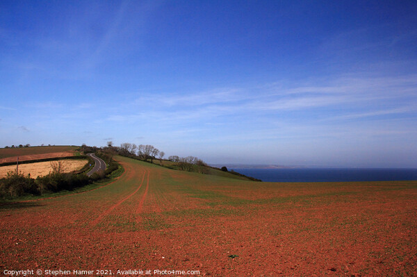 Red Soil of South Devon Picture Board by Stephen Hamer