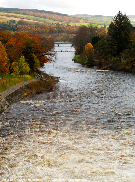 River Tummel Pitlochry Picture Board by Stephen Hamer