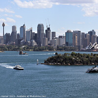 Buy canvas prints of Sydney Cityscape by Stephen Hamer