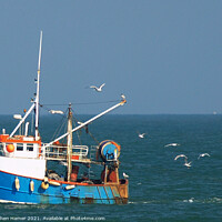 Buy canvas prints of Gull's following Trawler by Stephen Hamer