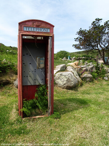 Old Red Telephone Box Picture Board by Stephen Hamer